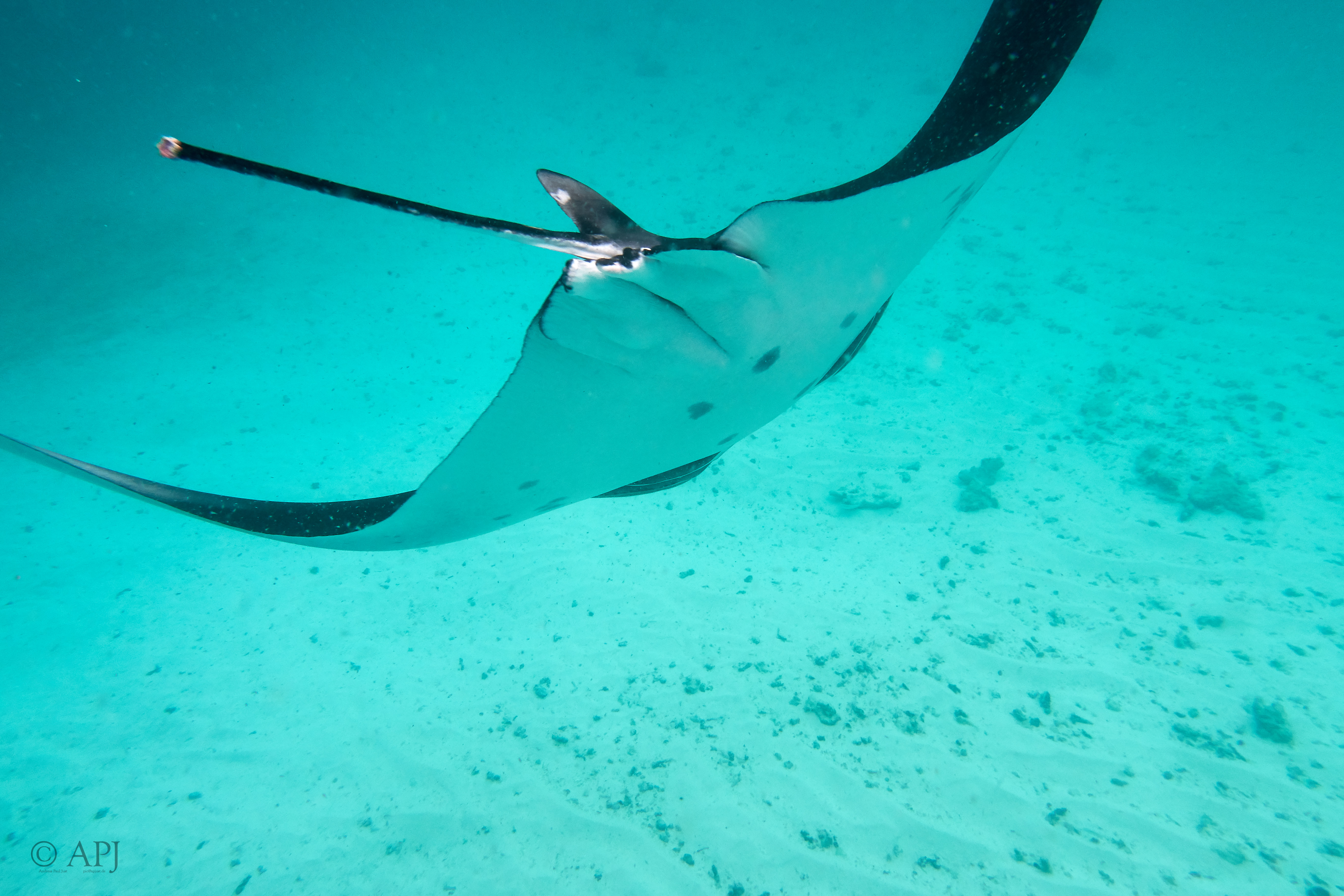 002564 17 08 17  Canon PowerShot G7 X Mark II   Malediven2017